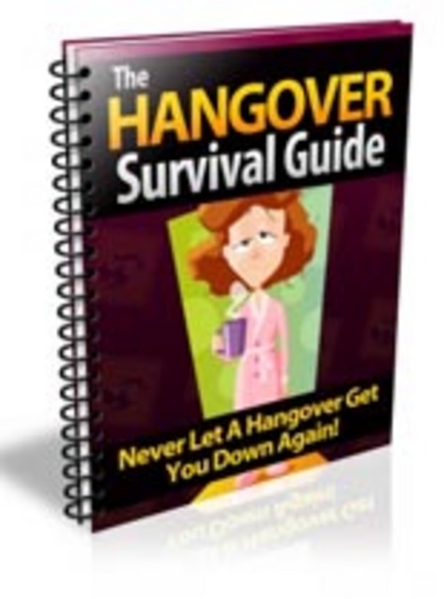 Product picture Hangover Survival Guide 